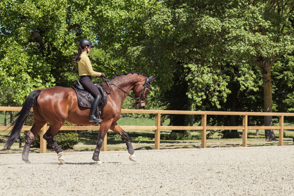 Equishop-nowa-kolekcja-Heritage-2025 (2)